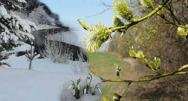 Народні прикмети