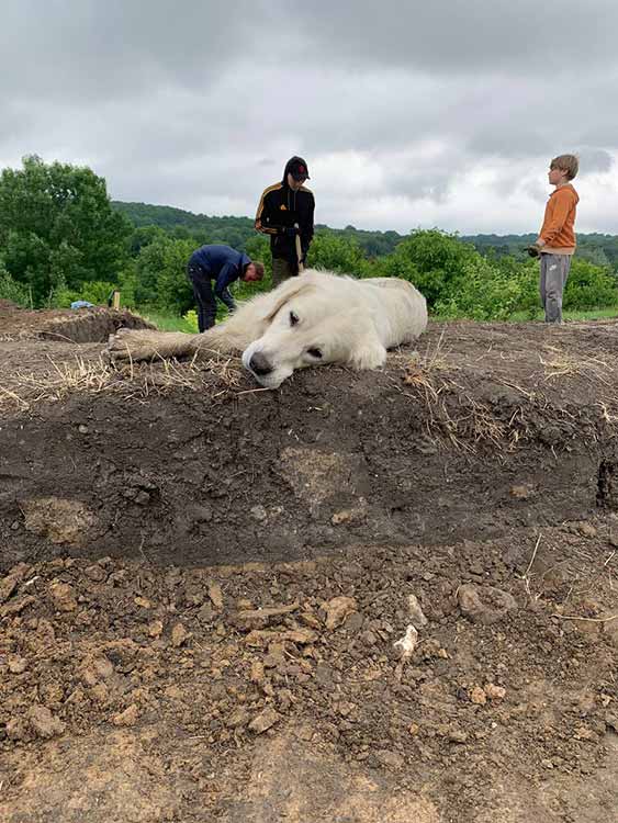 На Полтавщині знайшли зброю та прикраси доби Середньовіччя