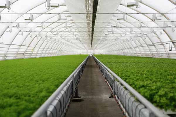 Поликарбонат