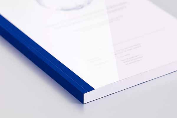 Дипломная работа