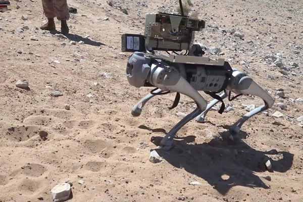 Робот-собака Робот-собака