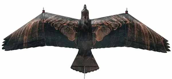 Розвідувальний безпілотник Evolution Eagle