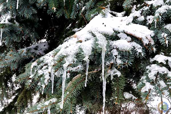 Прогноз погоди на вихідні 10–11 лютого: весна вже прийшла?