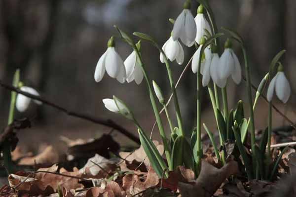 Прогноз погоди на вихідні 2–3 березня: весна прихо...