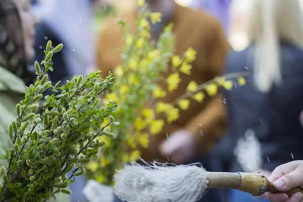 Сьогодні Вербна неділя: традиції та заборони