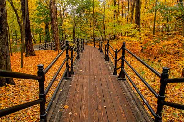 осінь осінь