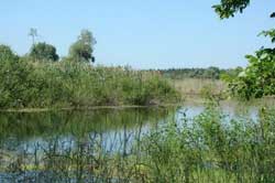  На Полтавщині розширять <b>площу</b> природно-заповідного фонду 