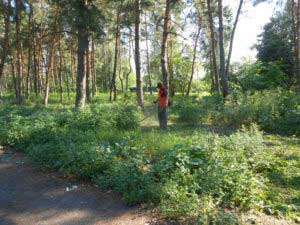 Благоустрій території, підготовка до мото-рок-фестивалю «Небеса»