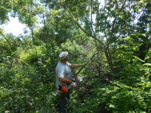 Благоустрій території, підготовка до мото-рок-фестивалю «Небеса»