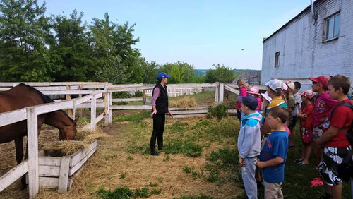 Тарасівська школа, табір "Веселка" 2017