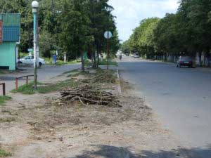 Чистка дерев, обпилювання кущів та чагарників в Гребінці
