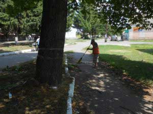 Вивезення сміття та спиляного гілля – (вул. Незалежності, вул. Героїв