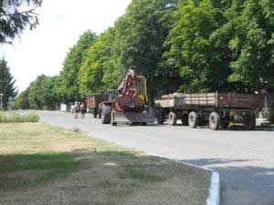Вивезення сміття та спиляного гілля – (вул. Незалежності, вул. Героїв