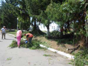 Вивезення сміття та спиляного гілля – (вул. Євгена Гребінки, вул. Магі