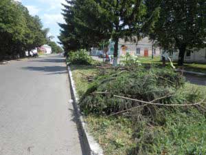 Вивезення сміття та спиляного гілля – (вул. Незалежності, вул. Героїв