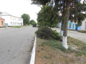 Вивезення сміття та спиляного гілля – (вул. Євгена Гребінки, вул. Магі