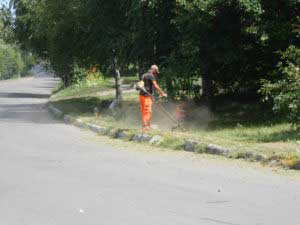 Косіння, загрібання, вивіз скошеної трави – (вул. Чернишевського)