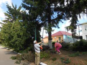 Чистка дерев, обпилювання кущів та чагарників в Гребінці