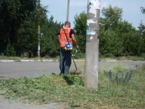 Косіння, загрібання, вивіз скошеної трави – (вул. Чернишевського)