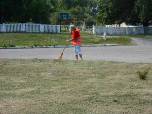 Косіння, загрібання, вивіз скошеної трави – (вул. Чернишевського)