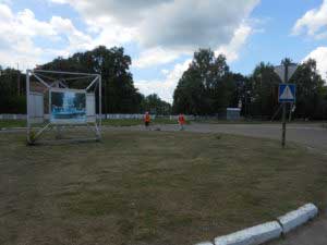 Косіння, загрібання, вивіз скошеної трави – (вул. Чернишевського)