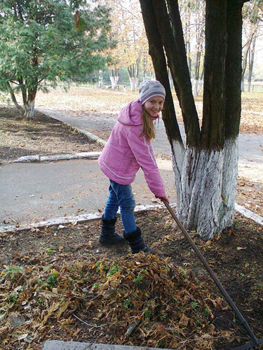Тарасівська школа: осінній місячник з благоустрою