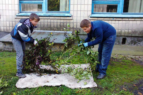 Тарасівська школа: осінній місячник з благоустрою