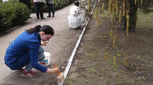 заходи з благоустрою та озеленення
