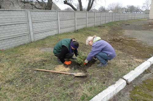 заходи з благоустрою та озеленення