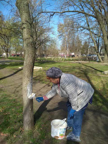 День довкілля у Гребінківській гімназії