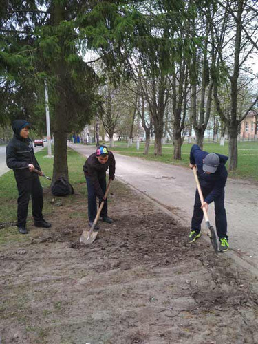 День довкілля у Гребінківській гімназії