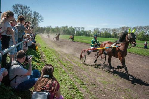 У Дібрівці відсвяткували сто тридцятиріччя кінного заводу