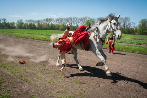 У Дібрівці відсвяткували сто тридцятиріччя кінного заводу