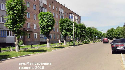 Роздуми – «Які красиві каштани!»