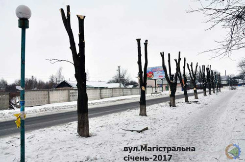 Роздуми – «Які красиві каштани!»