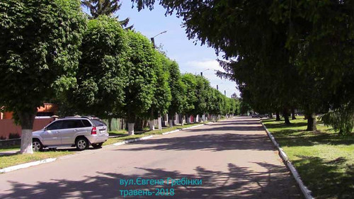 Роздуми – «Які красиві каштани!»