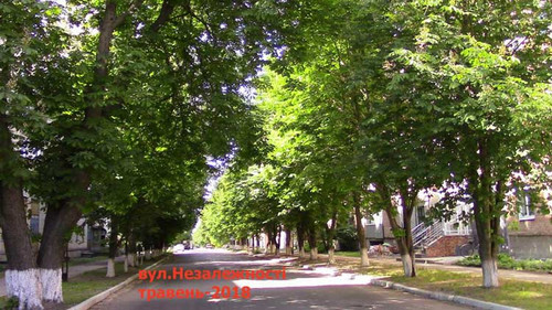 Роздуми – «Які красиві каштани!»