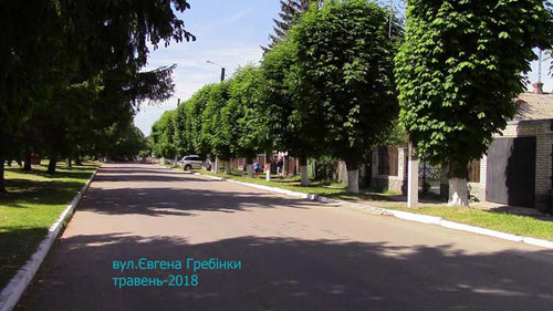 Роздуми – «Які красиві каштани!»