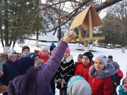Гребінківська ЗОШ №1: Допомога птахам