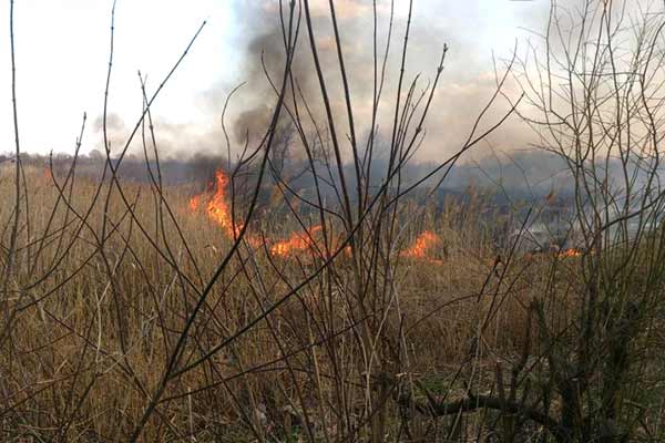  За тиждень на Полтавщині виникло 154 <b>пожежі</b> на відкритих територіях 