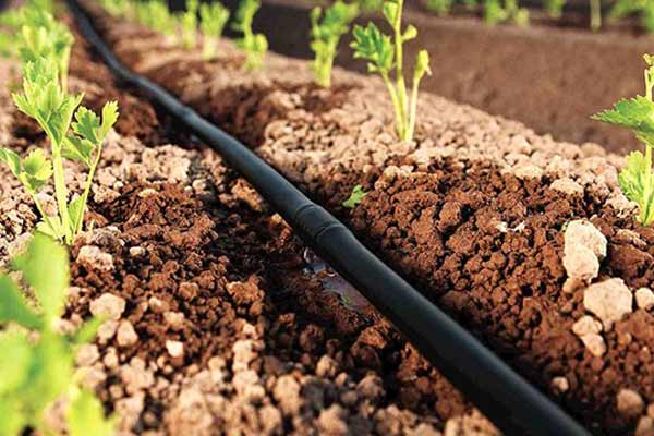 Система краплинного поливу