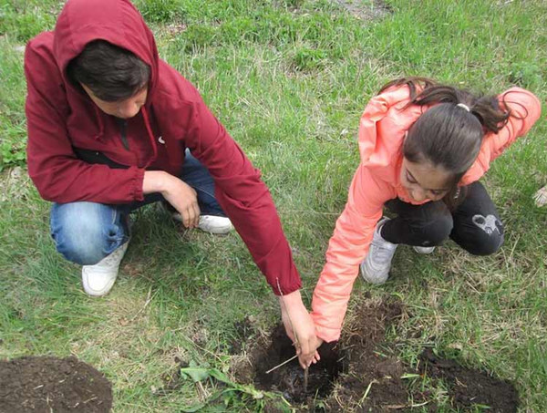 Тривають роботи по благоустрою та прибиранню пришкільних територій