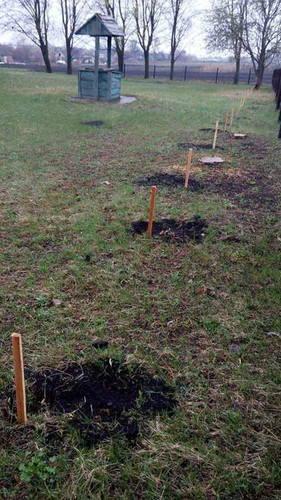 Тривають роботи по благоустрою та прибиранню пришкільних територій