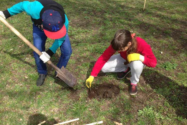 Тривають роботи по благоустрою та прибиранню пришкільних територій