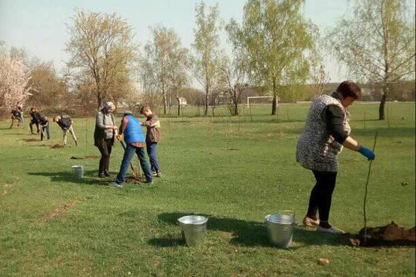 Тривають роботи по благоустрою та прибиранню пришкільних територій