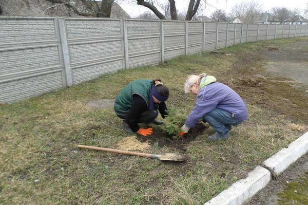 Тривають роботи по благоустрою та прибиранню пришкільних територій