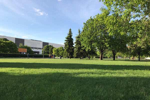 Городской рулонный газон Городской рулонный газон