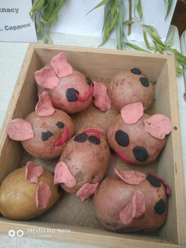 Свято врожаю у Мар'янівській школі Свято врожаю у Мар'янівській школі