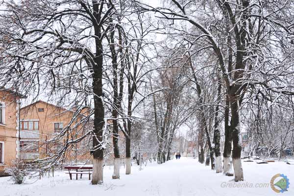 У Києві ліг перший зимовий сніг