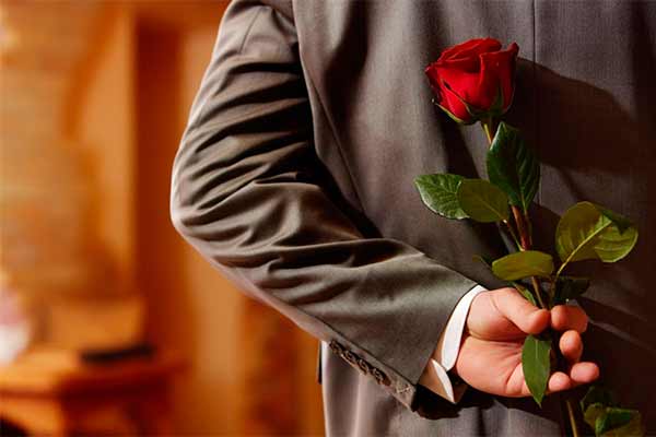 красные розы красные розы